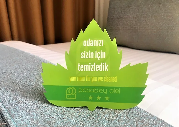 Hotel Grand Pasabey 3*